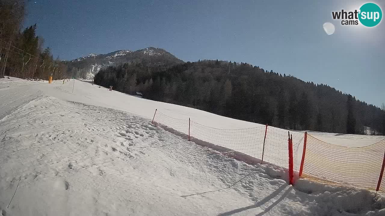 Ski Kranjska Gora | Brsnina