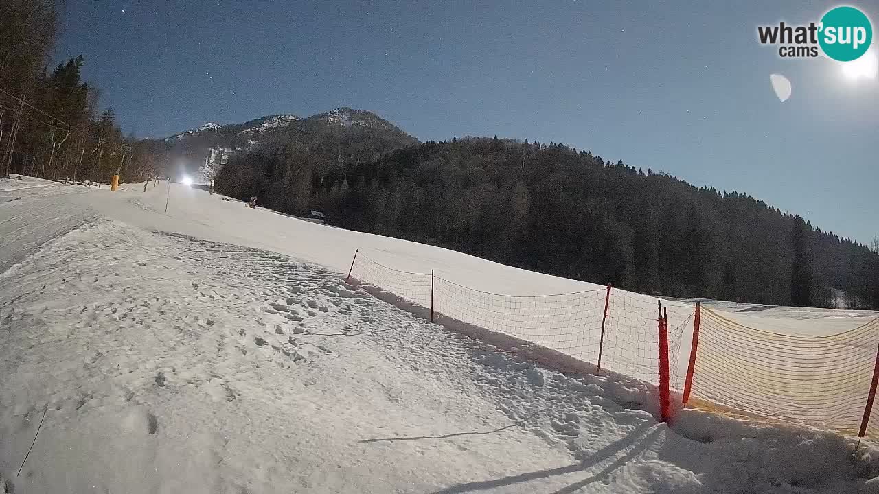 Esquí Kranjska Gora | Brsnina