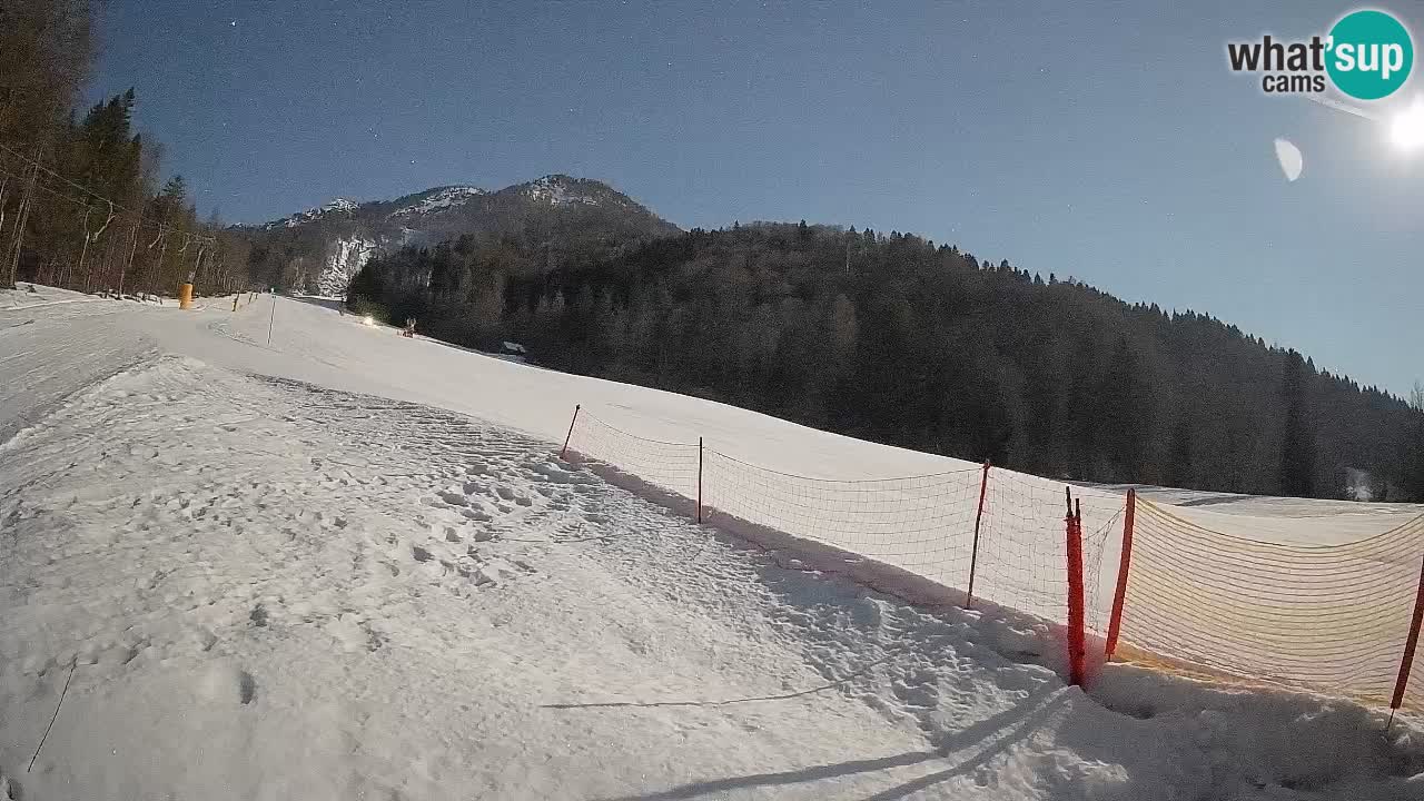 Ski Kranjska Gora | Brsnina