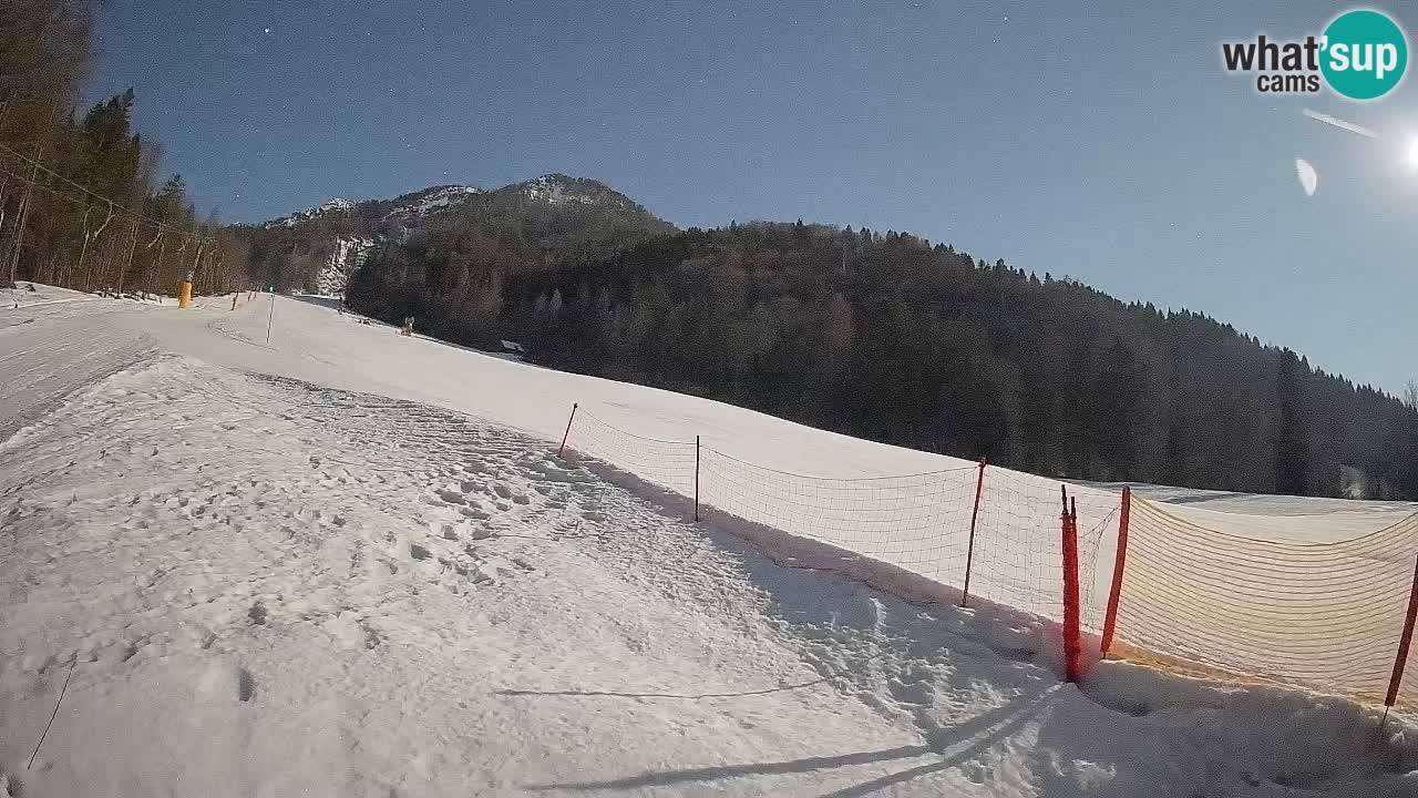 Kranjska Gora SKIJANJE | Brsnina