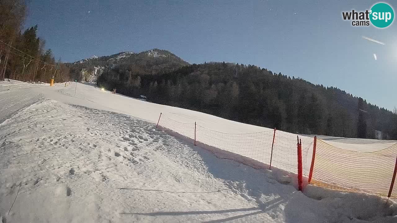 Kranjska Gora SKIJANJE | Brsnina