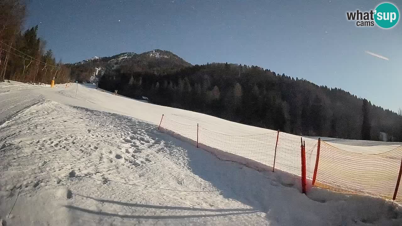 Esquí Kranjska Gora | Brsnina