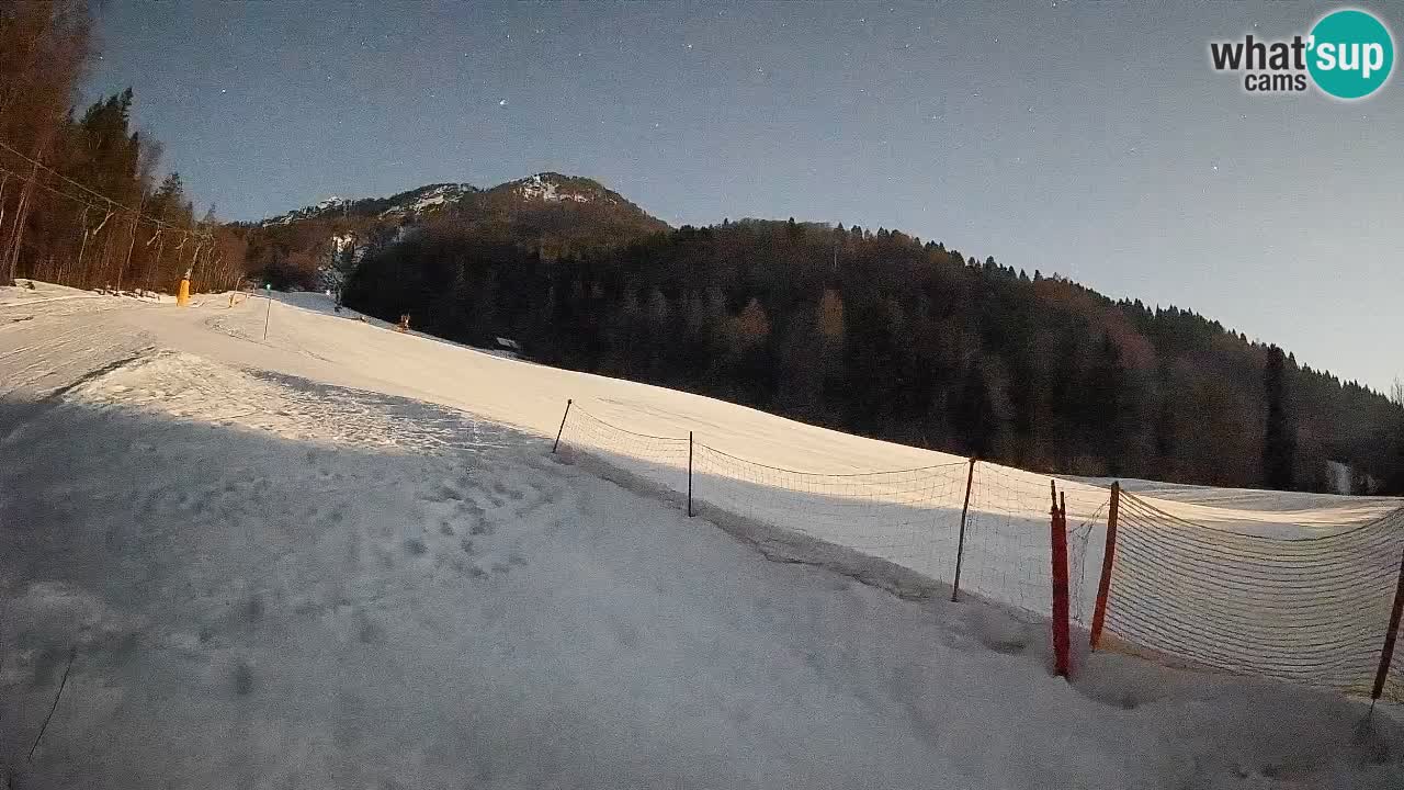 RTC Kranjska Gora | Brsnina