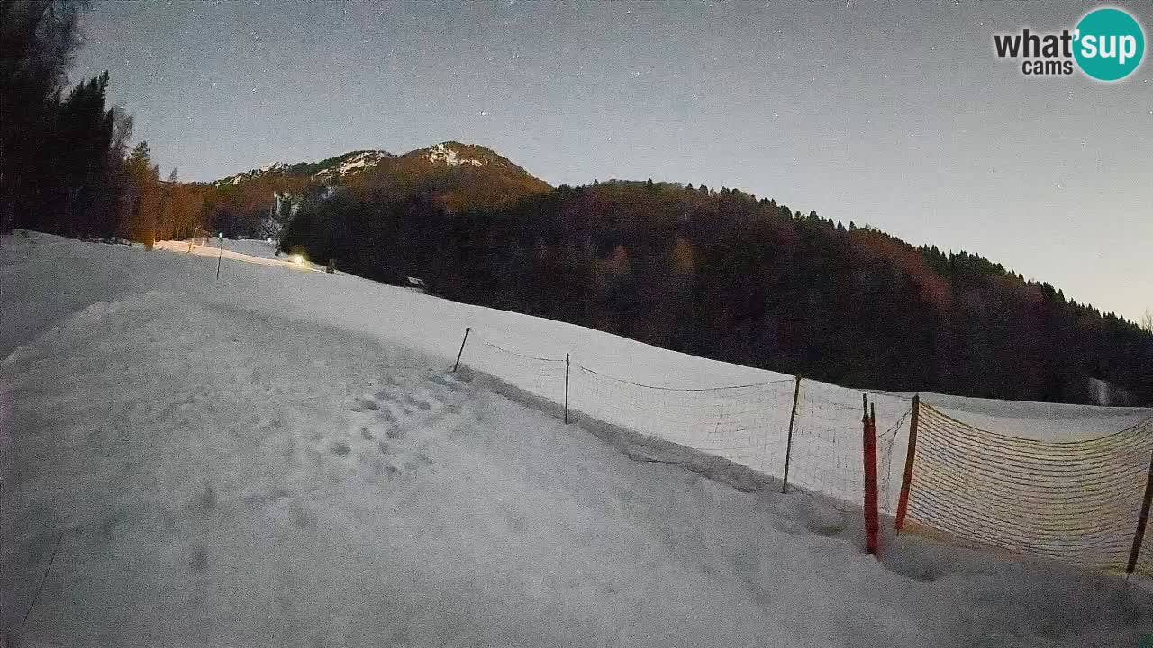 RTC Skigebiet Kranjska Gora | Brsnina