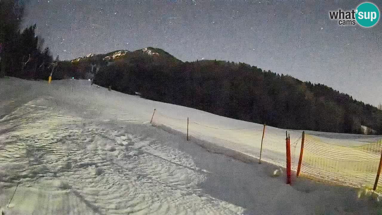 Kranjska Gora SKIJANJE | Brsnina