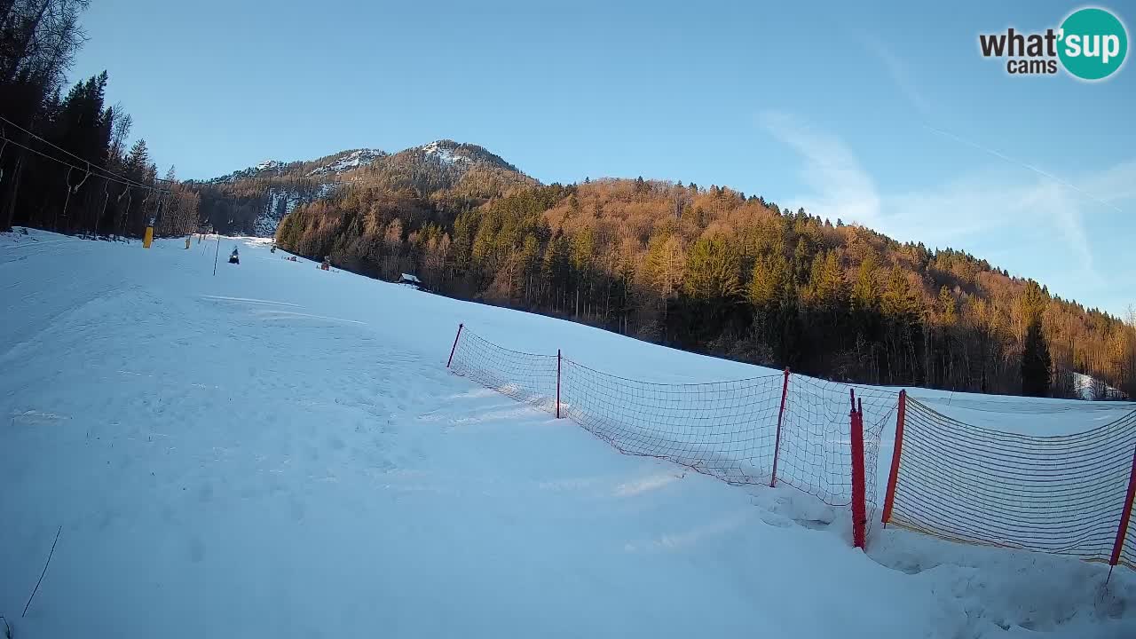 Ski Kranjska Gora | Brsnina