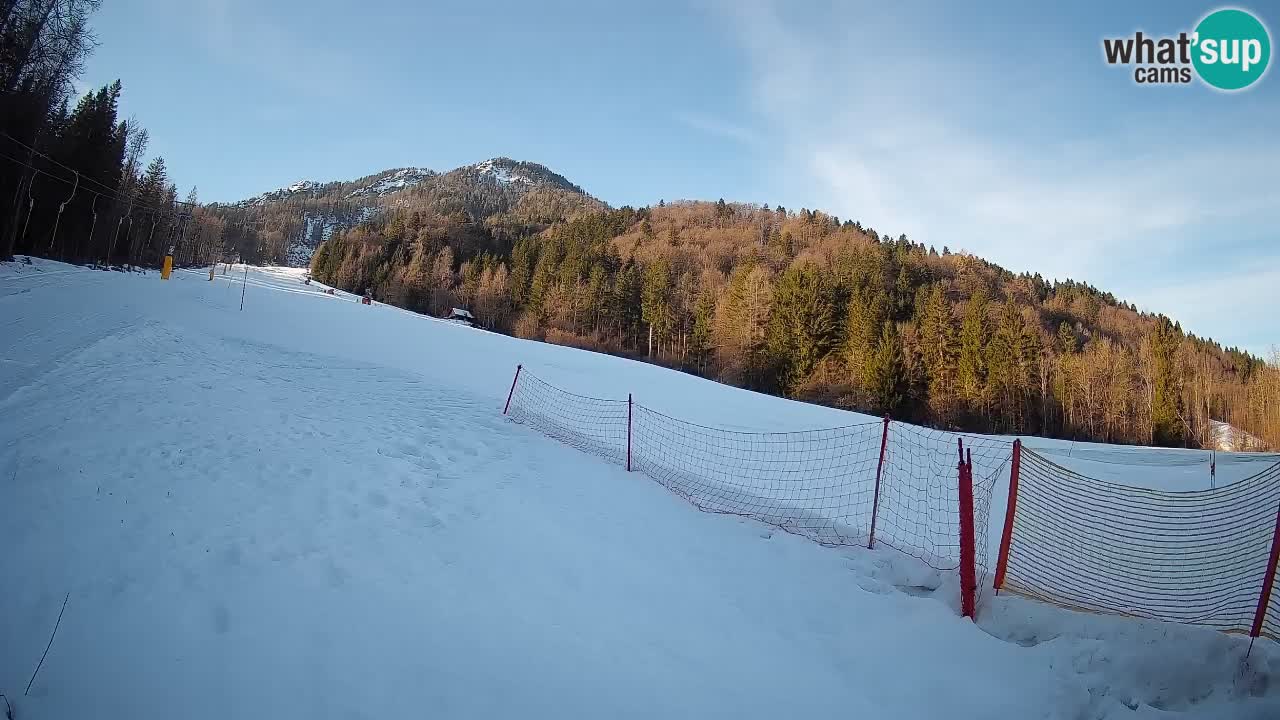 Kranjska Gora SKIJANJE | Brsnina