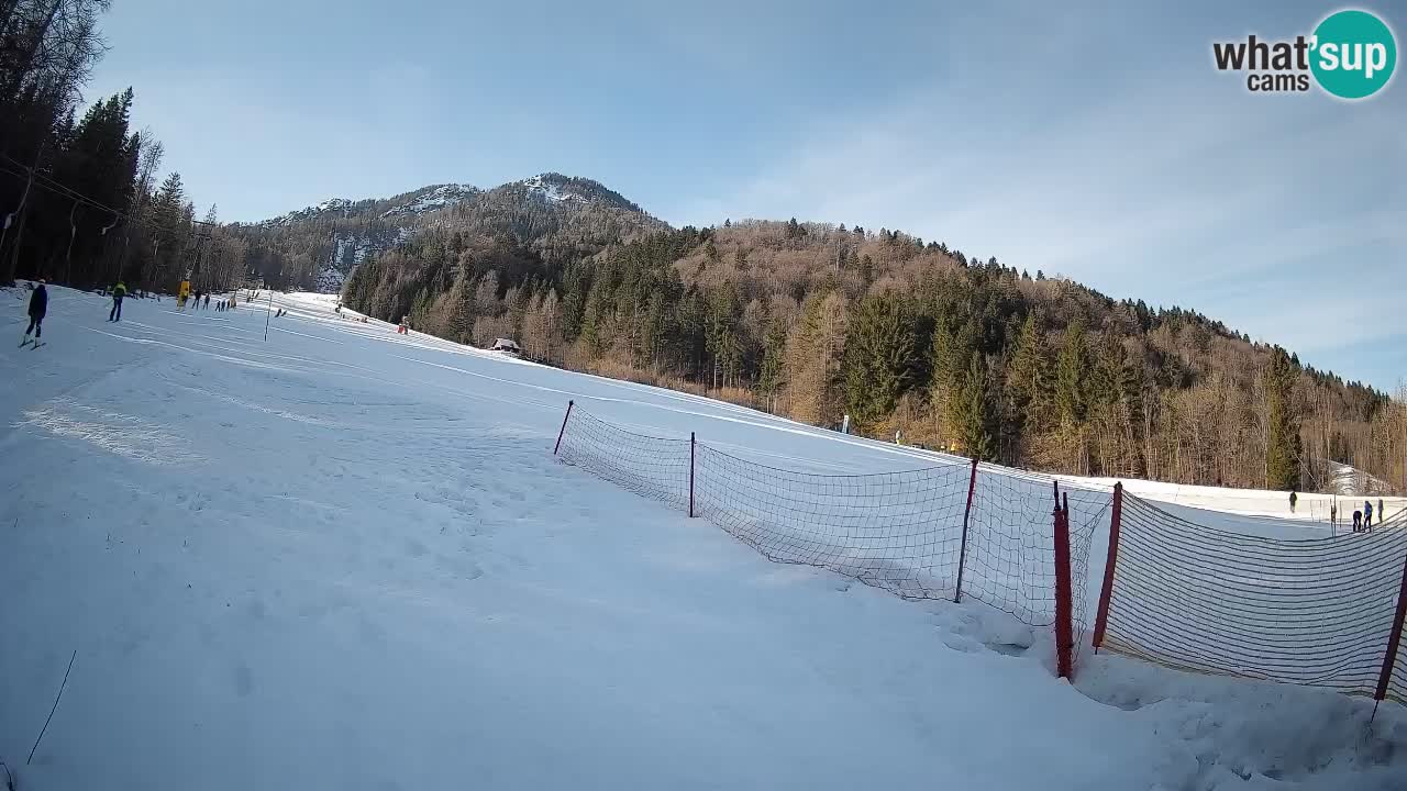 Esquí Kranjska Gora | Brsnina