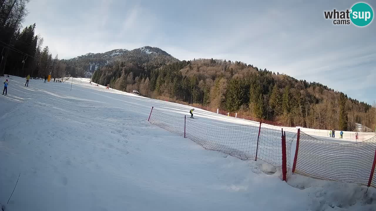 RTC Skigebiet Kranjska Gora | Brsnina