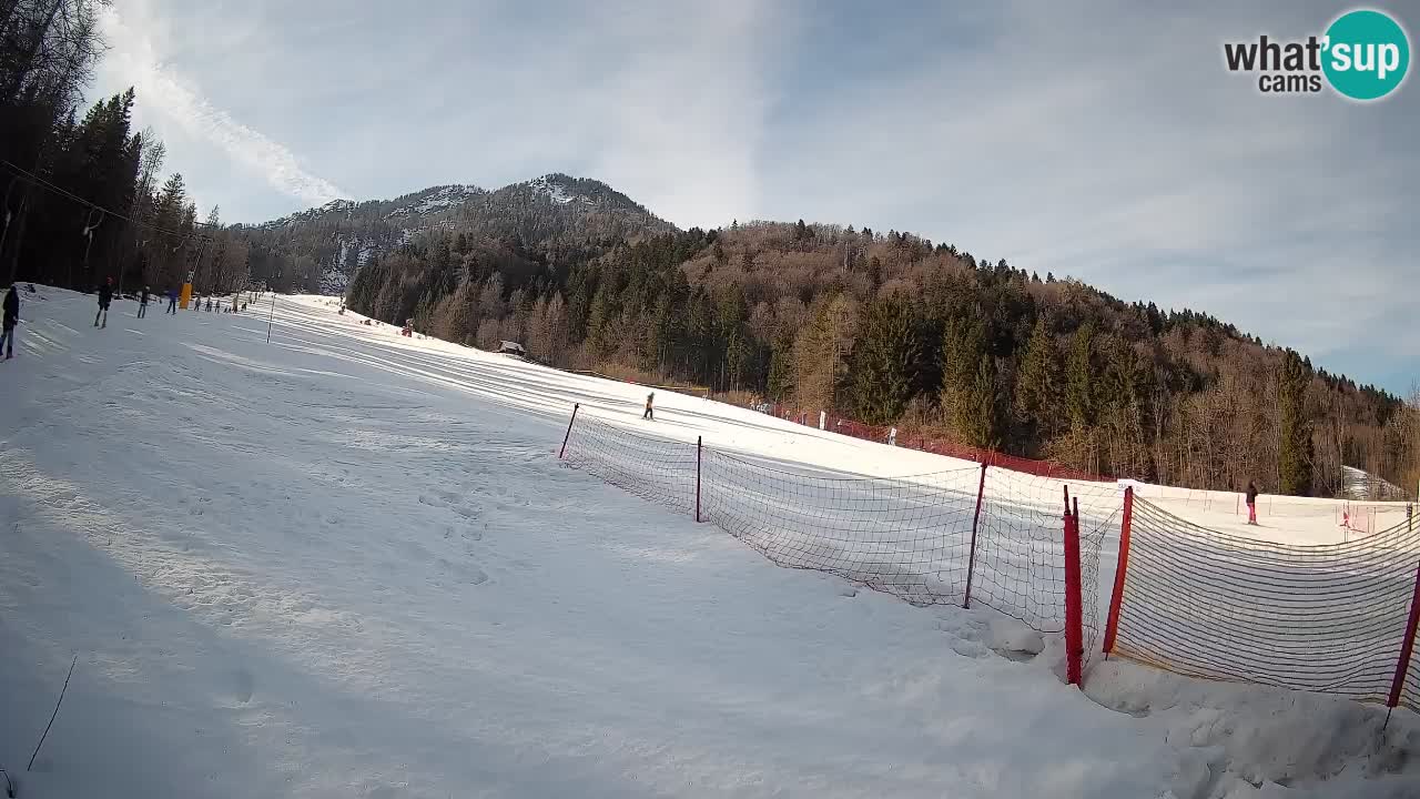RTC Skigebiet Kranjska Gora | Brsnina