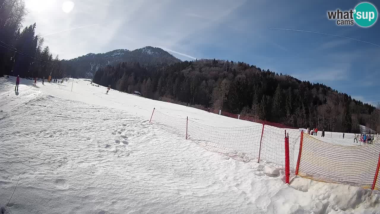 RTC Kranjska Gora | Brsnina