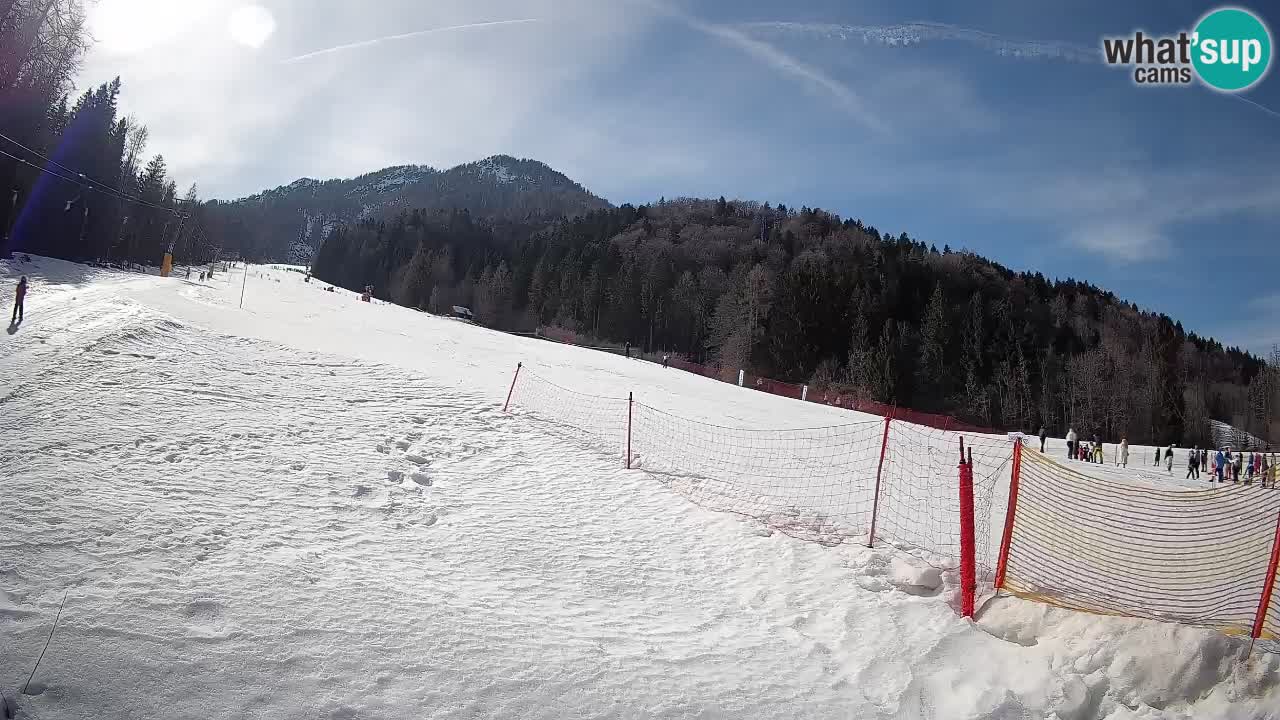 RTC Skigebiet Kranjska Gora | Brsnina