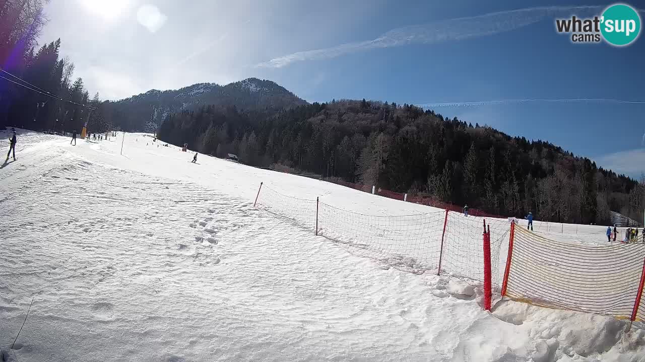 RTC Kranjska Gora | Brsnina