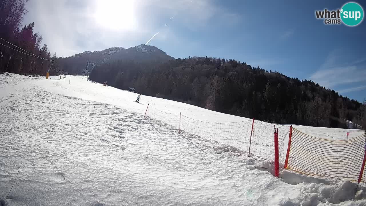Comprensorio sciistico Kranjska Gora | Brsnina