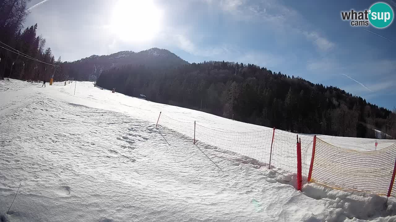 Ski Kranjska Gora | Brsnina