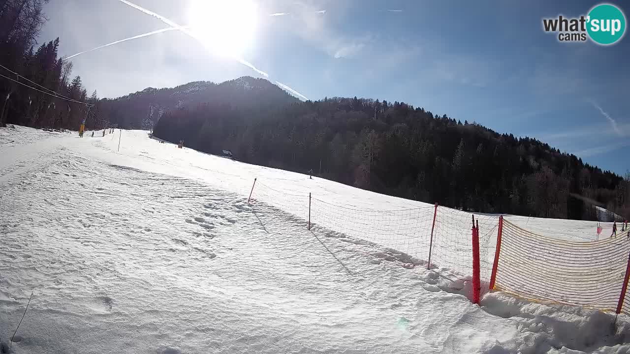RTC Kranjska Gora | Brsnina