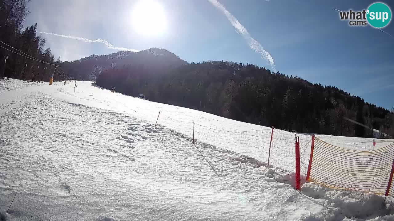 Esquí Kranjska Gora | Brsnina