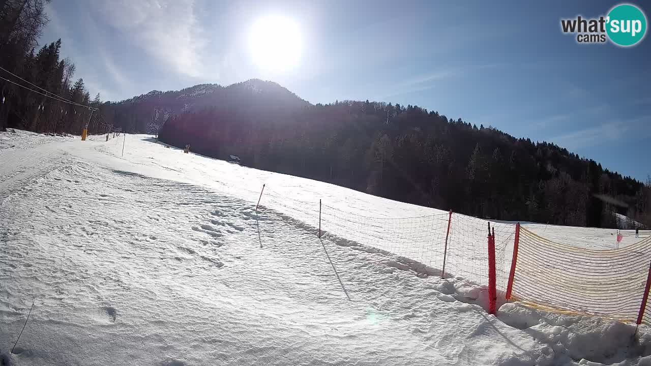 RTC Skigebiet Kranjska Gora | Brsnina