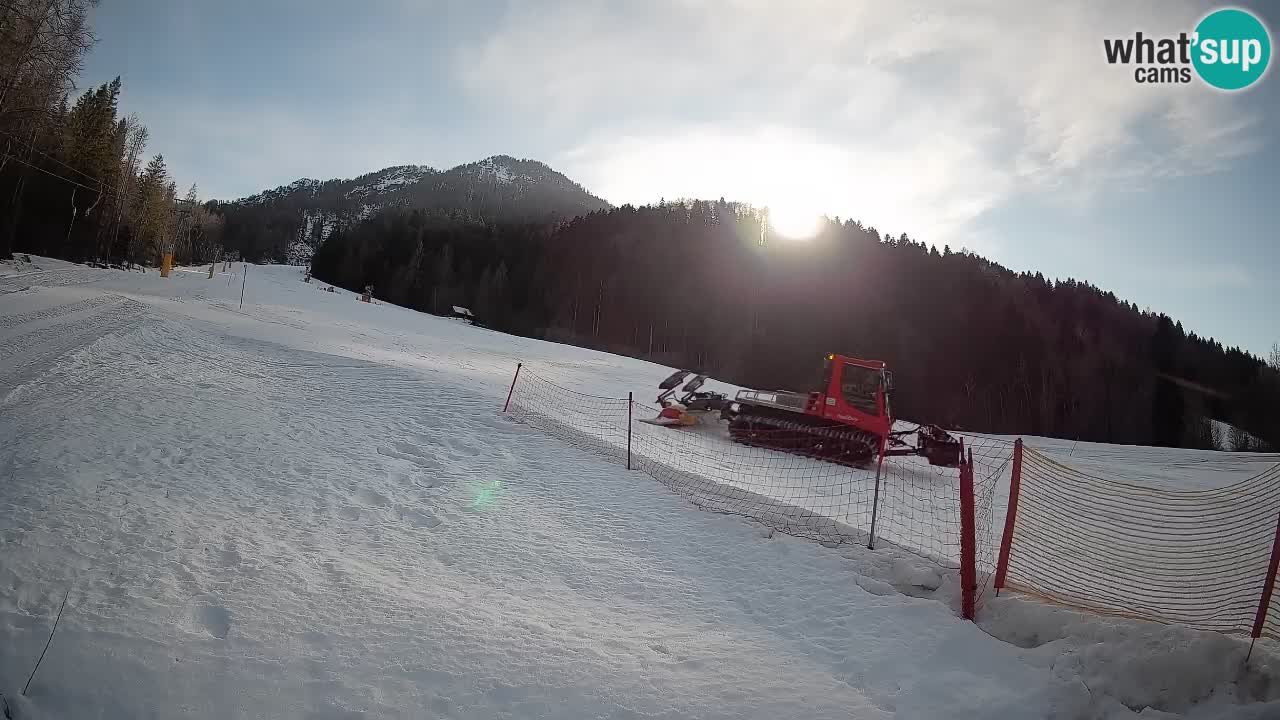 RTC Skigebiet Kranjska Gora | Brsnina