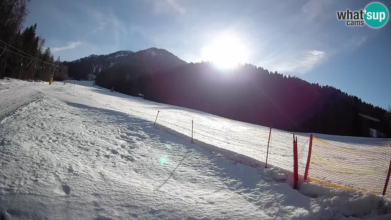 Comprensorio sciistico Kranjska Gora | Brsnina