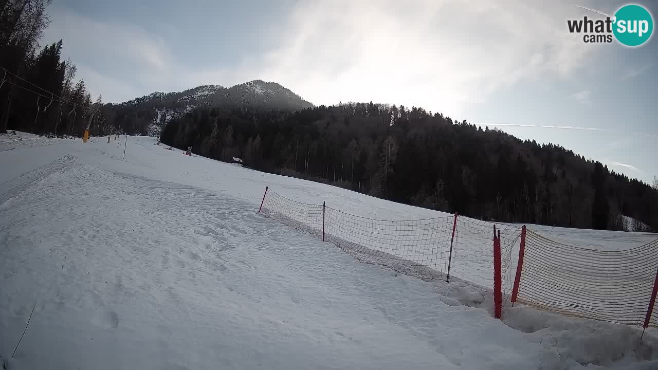RTC Skigebiet Kranjska Gora | Brsnina