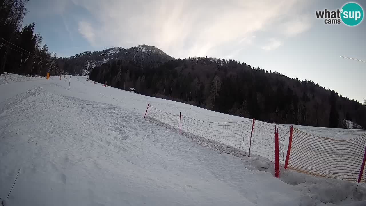 Comprensorio sciistico Kranjska Gora | Brsnina