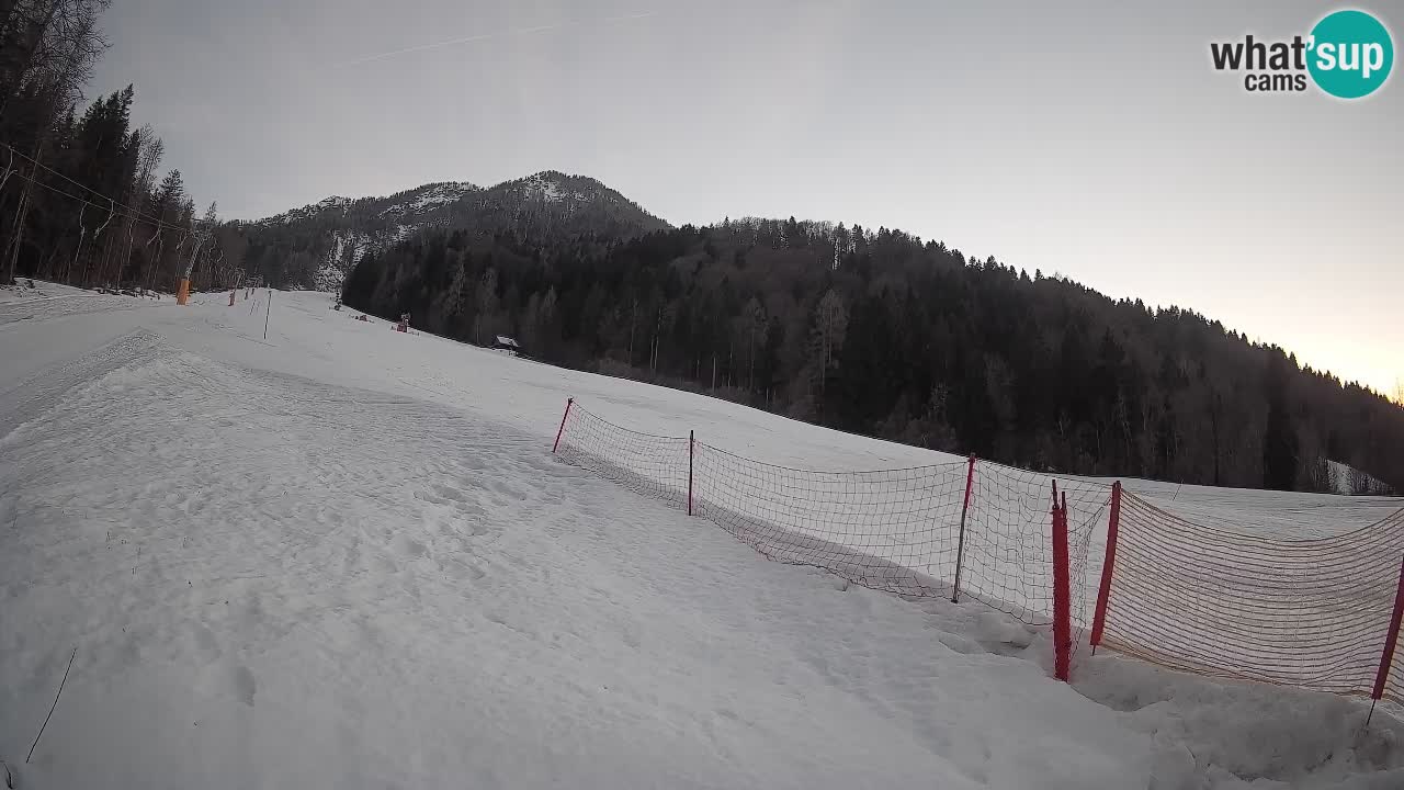Kranjska Gora Station de ski | Brsnina