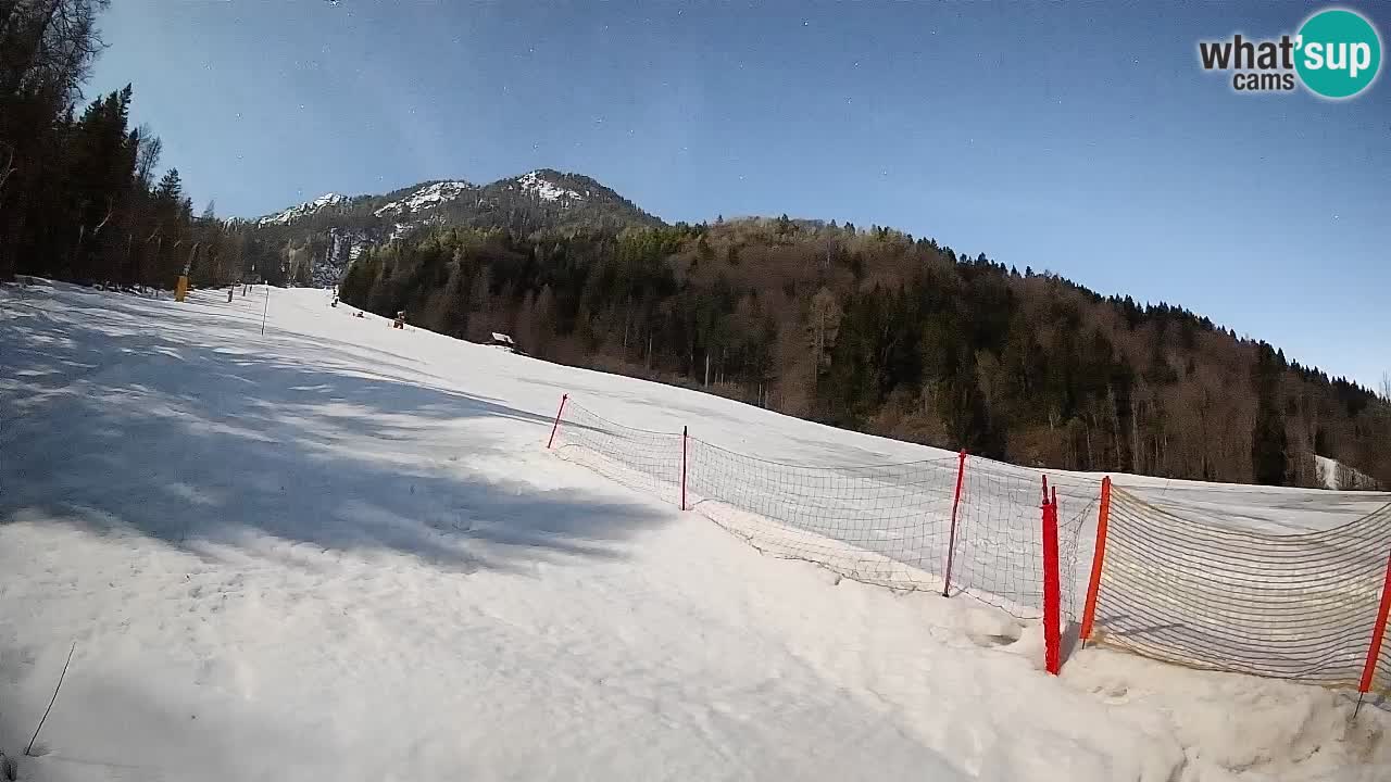 Kranjska Gora SKIJANJE | Brsnina