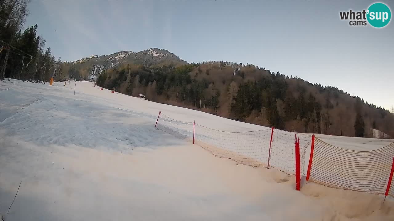 Ski Kranjska Gora | Brsnina