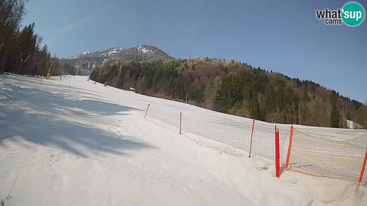 Kranjska Gora Station de ski | Brsnina