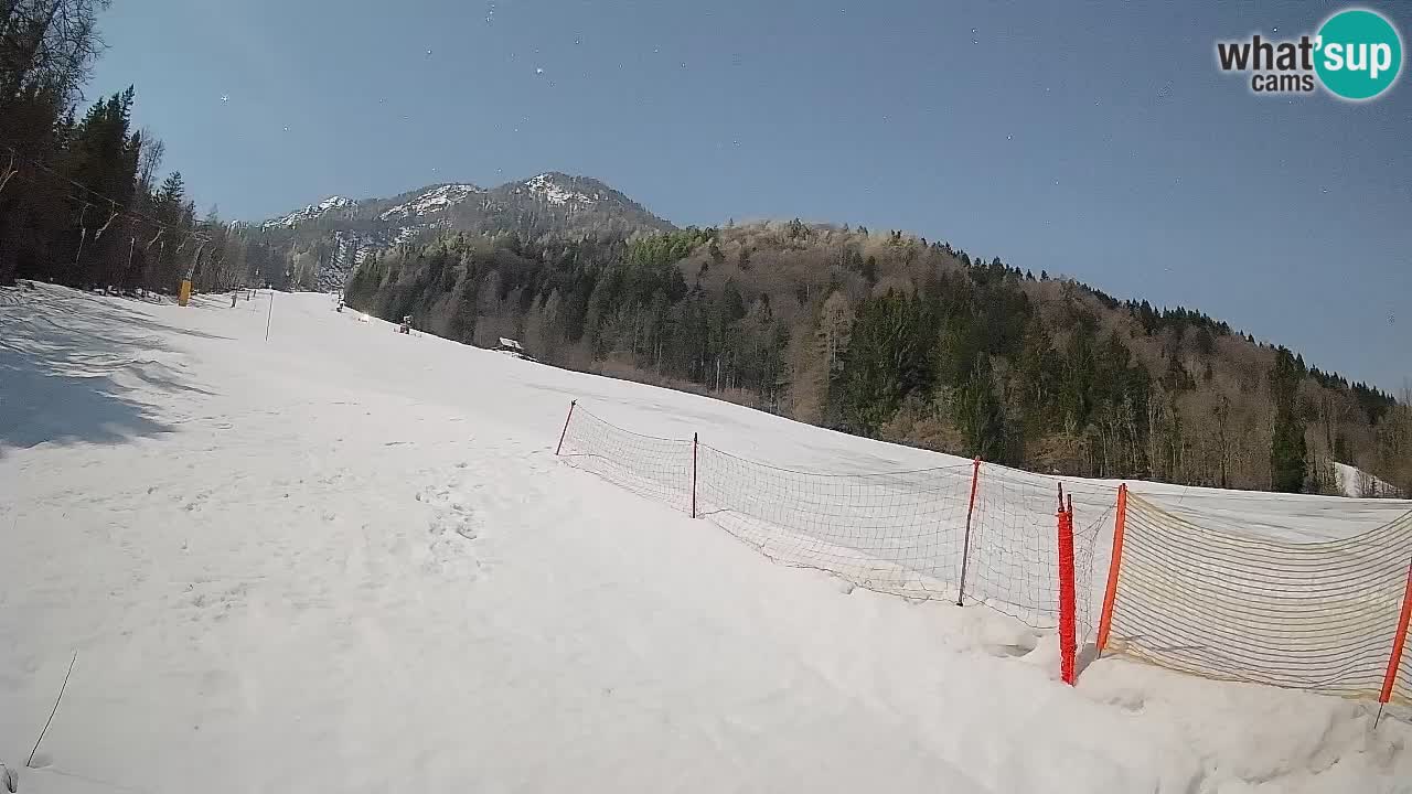 RTC Skigebiet Kranjska Gora | Brsnina