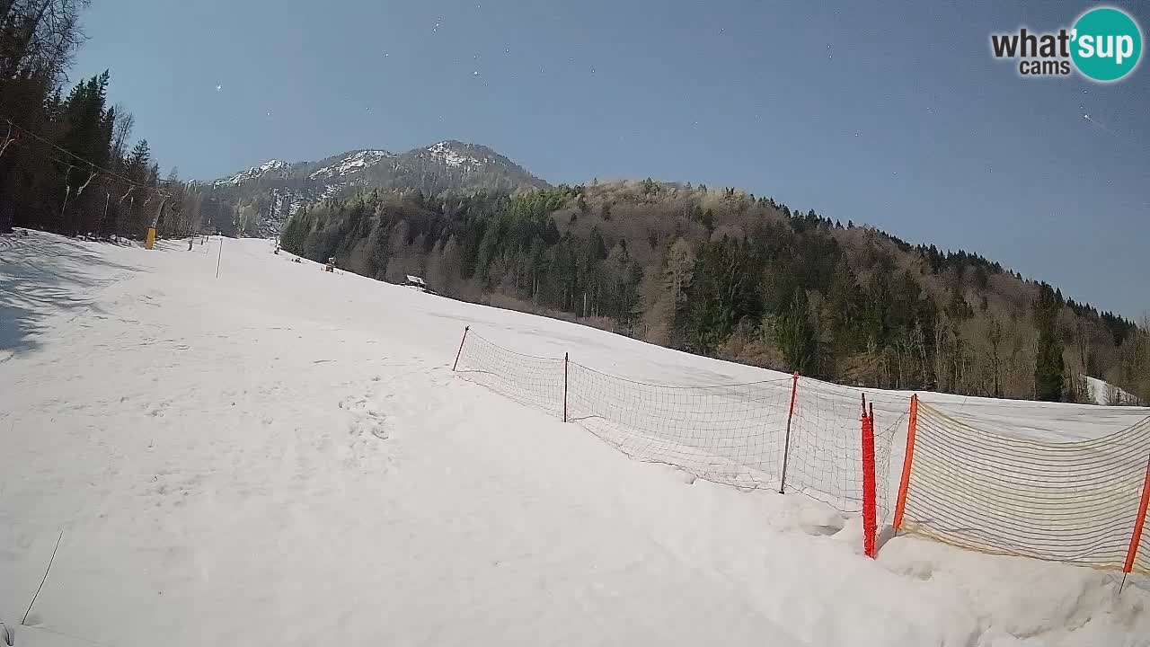 Esquí Kranjska Gora | Brsnina