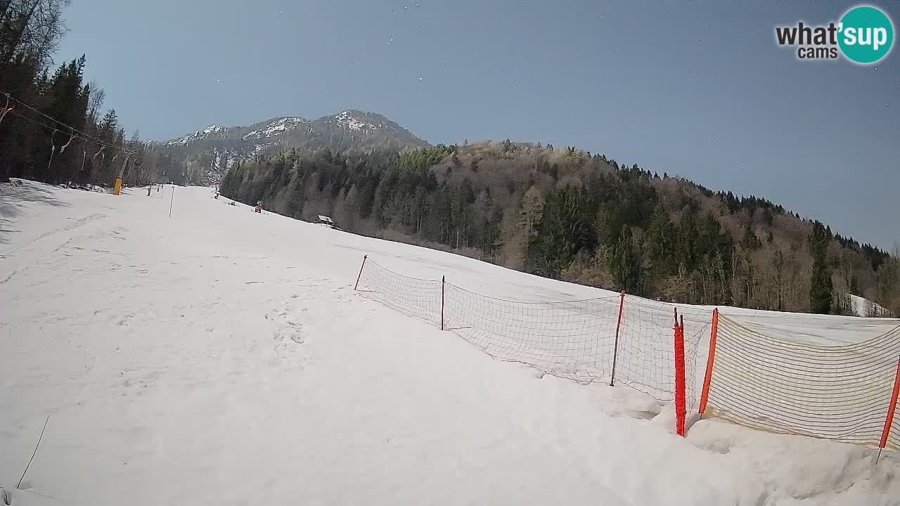 Comprensorio sciistico Kranjska Gora | Brsnina