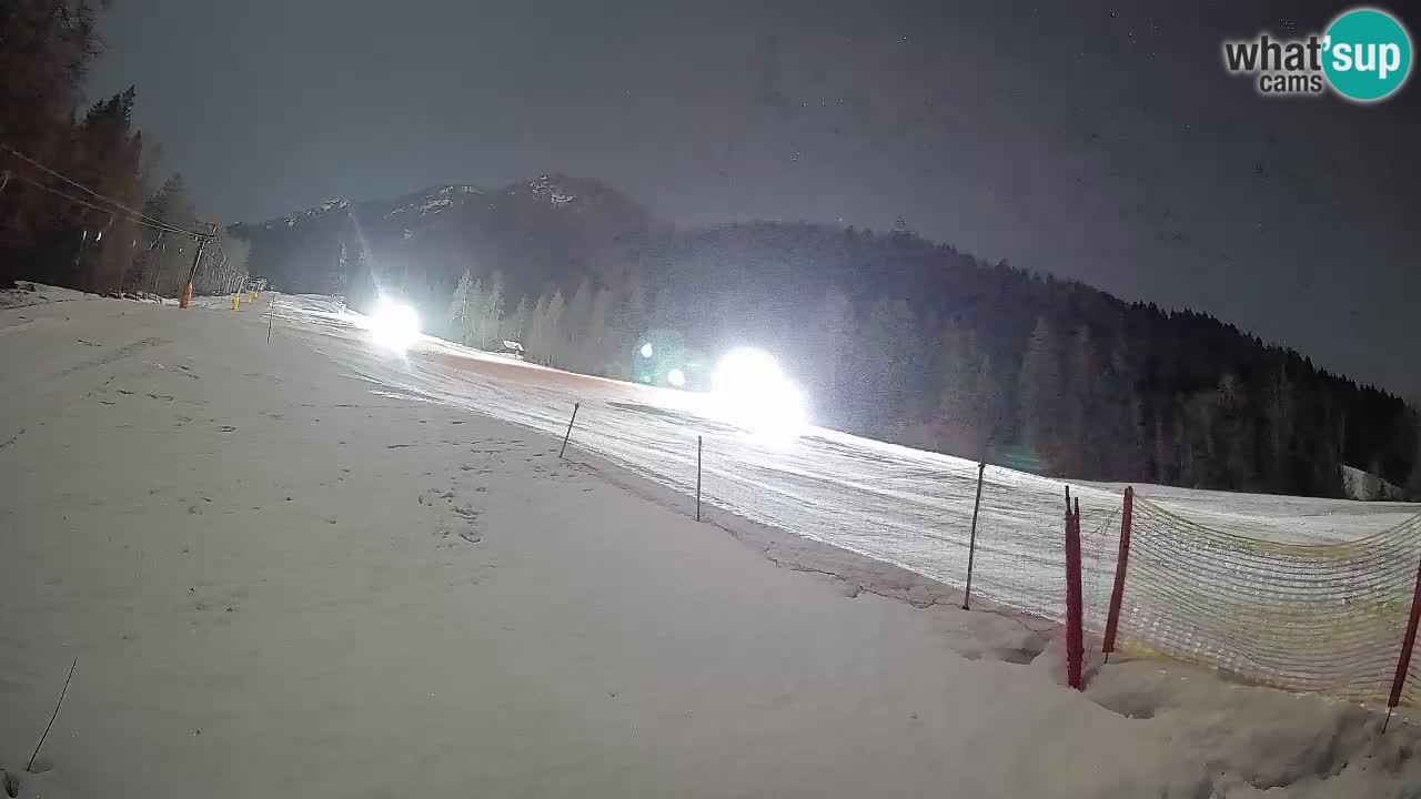 Comprensorio sciistico Kranjska Gora | Brsnina