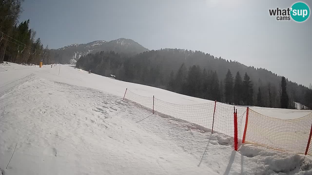Esquí Kranjska Gora | Brsnina