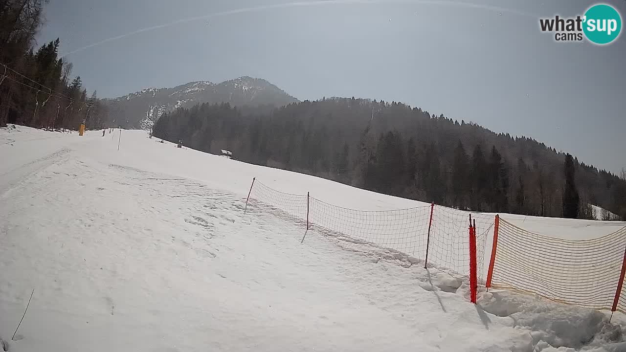 Comprensorio sciistico Kranjska Gora | Brsnina