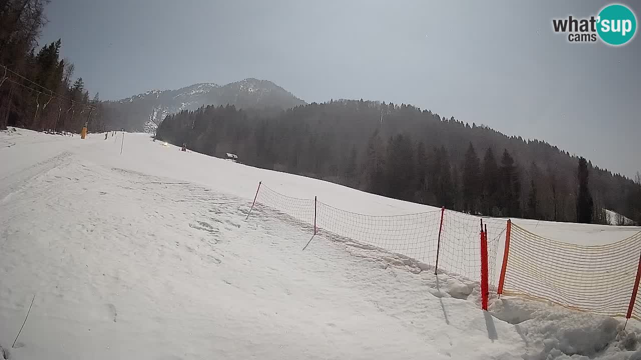 Comprensorio sciistico Kranjska Gora | Brsnina