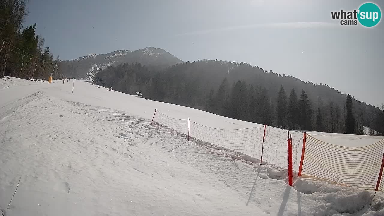 Kranjska Gora Station de ski | Brsnina