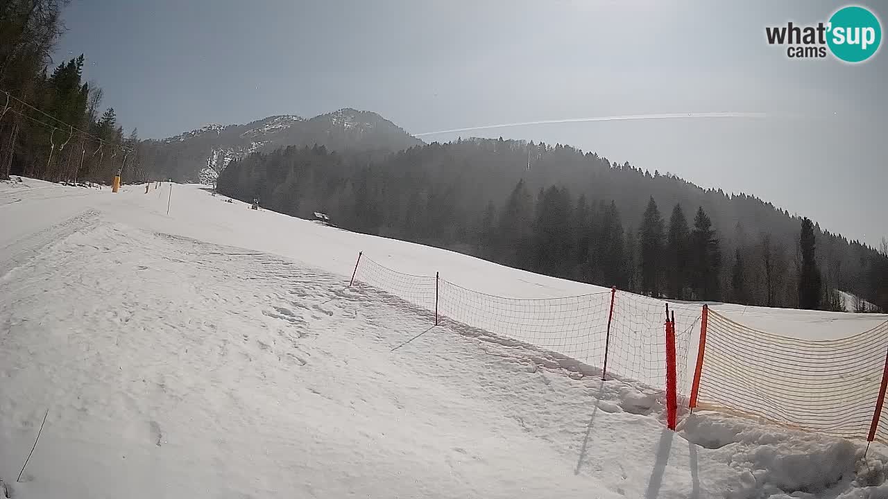 Esquí Kranjska Gora | Brsnina