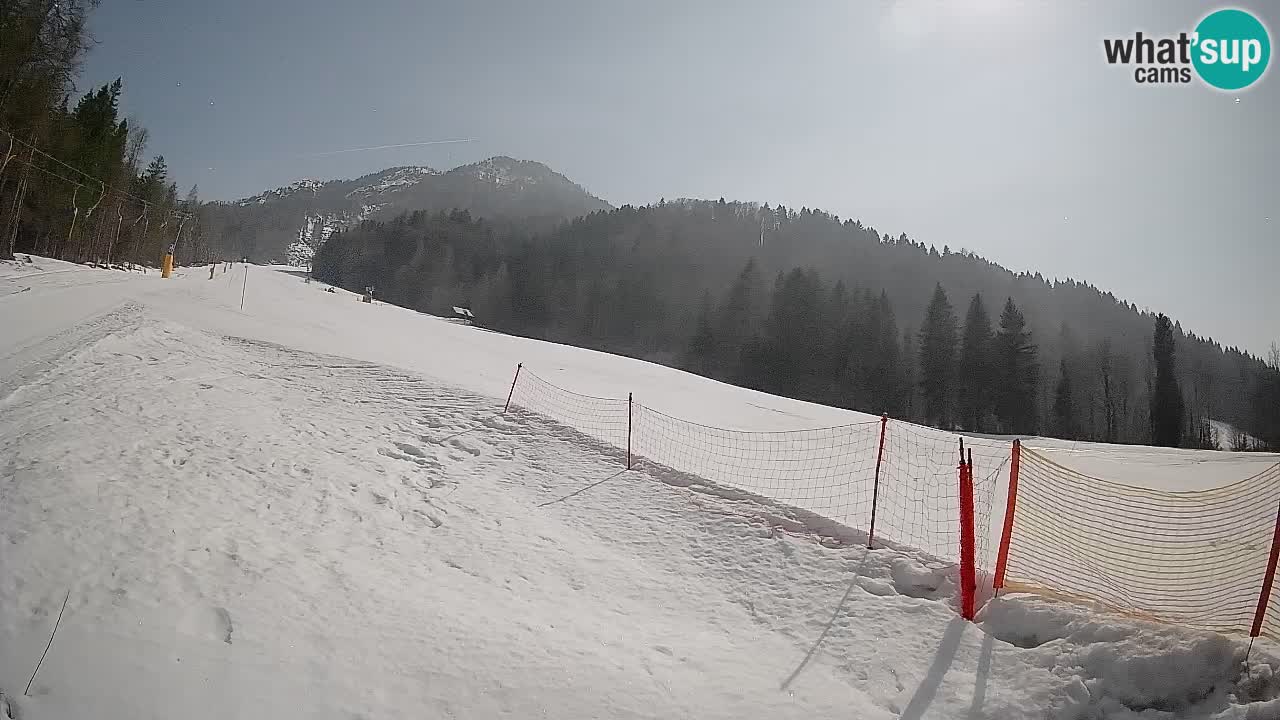 Kranjska Gora Station de ski | Brsnina