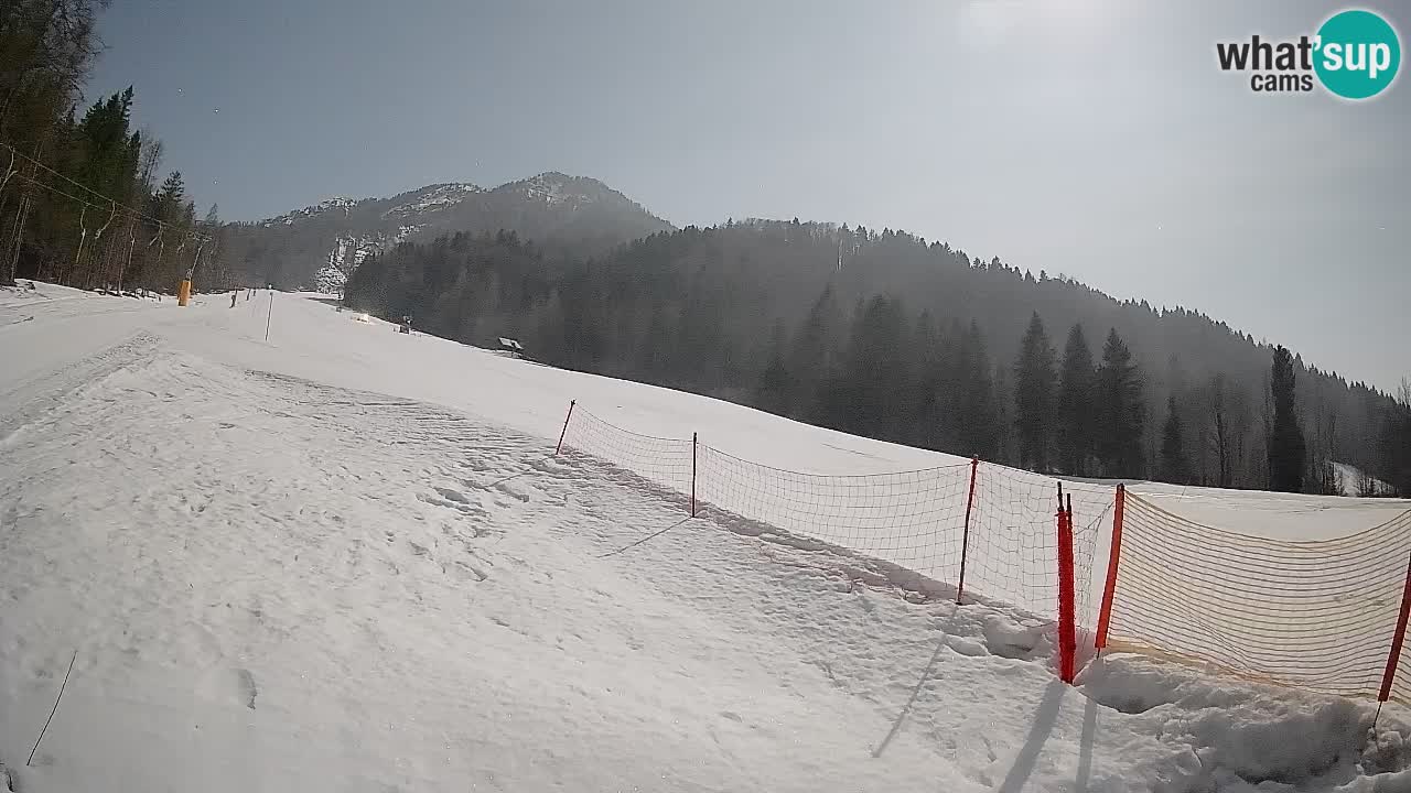 RTC Kranjska Gora | Brsnina