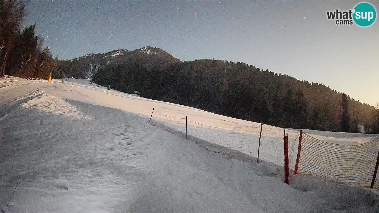 Comprensorio sciistico Kranjska Gora | Brsnina