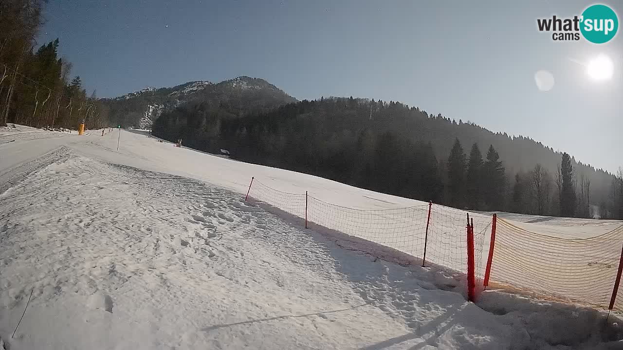 Ski Kranjska Gora | Brsnina