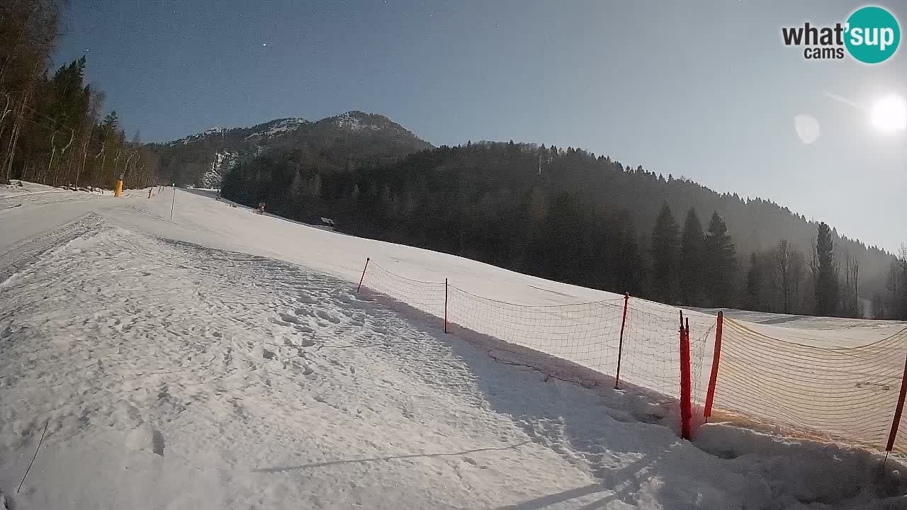 Esquí Kranjska Gora | Brsnina