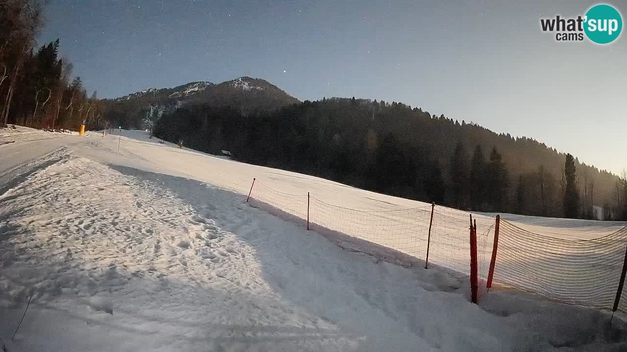 Esquí Kranjska Gora | Brsnina