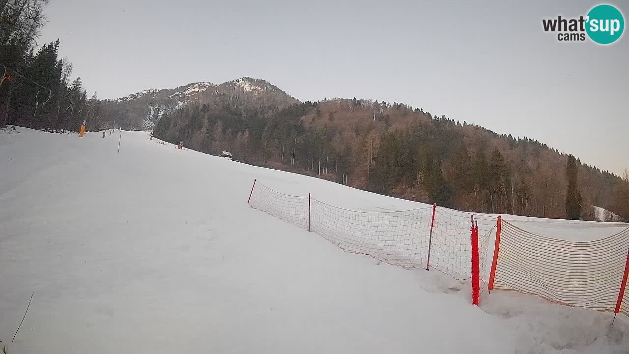Kranjska Gora SKIJANJE | Brsnina