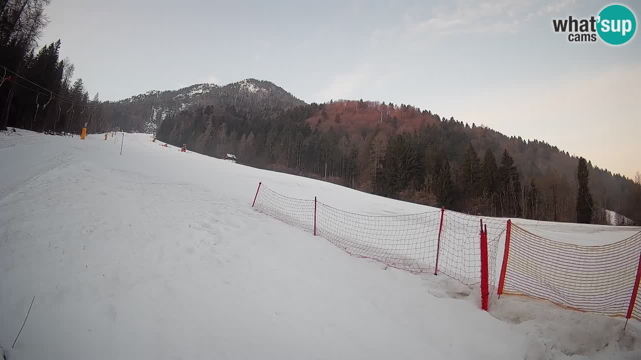 Ski Kranjska Gora | Brsnina
