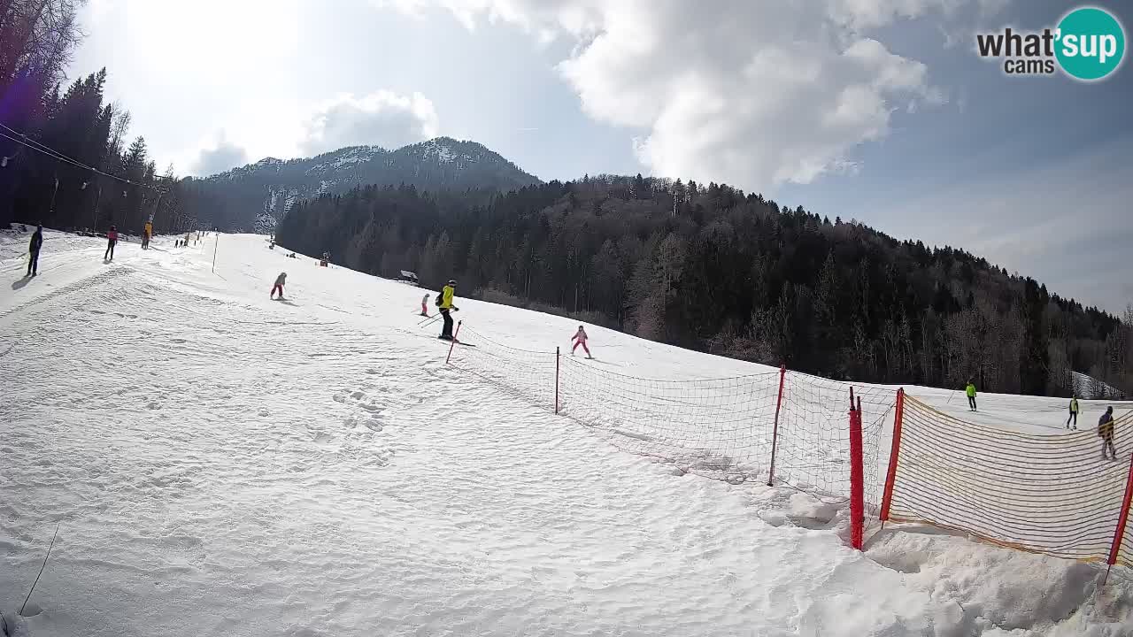 Esquí Kranjska Gora | Brsnina