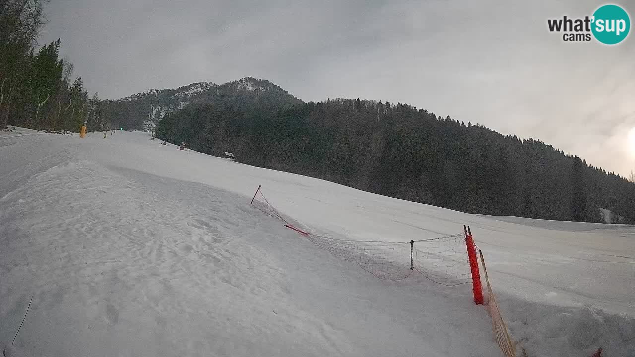Esquí Kranjska Gora | Brsnina