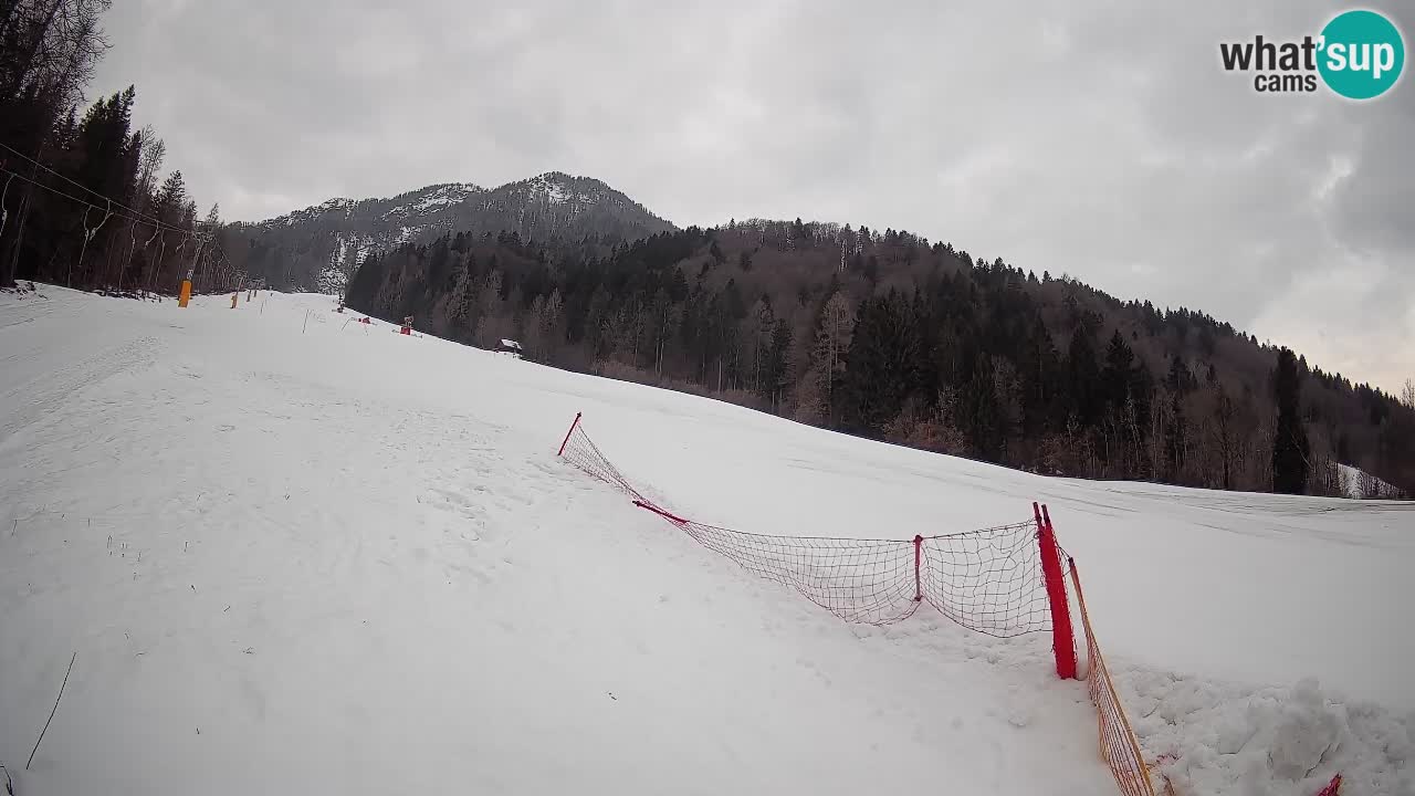 Kranjska Gora Station de ski | Brsnina
